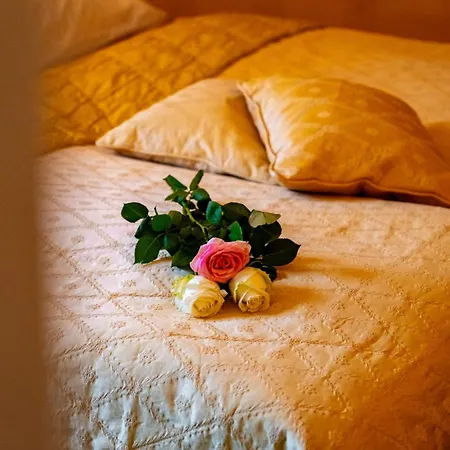 Schloss Auel Boutique & Design Golf 호텔 4*