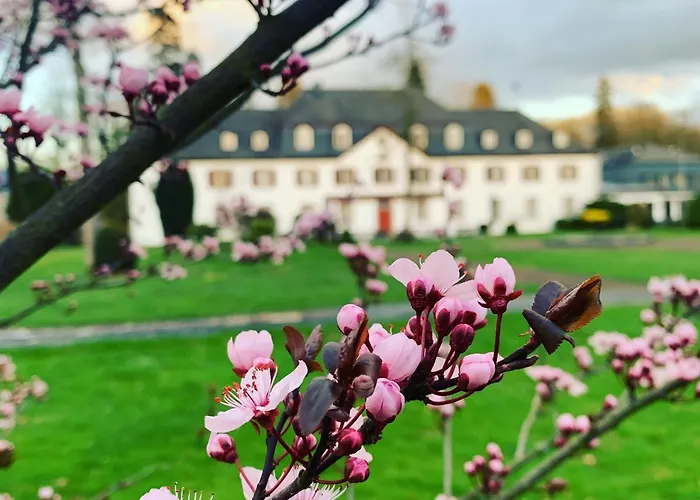 Schloss Auel Boutique Hotel&design Golf 4* Lohmar